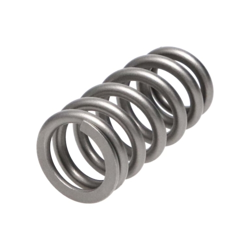 942C5E14-78A7-84FD-6D75-CD095872F973 Manley Valve Spring FORD/MAZDA 2.3L - Image 1