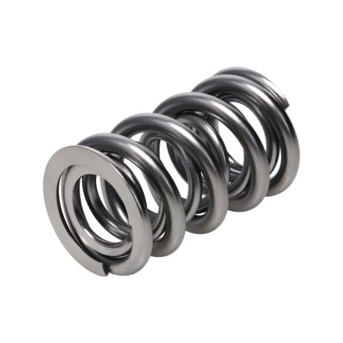 97270D0B-D0B3-EA80-68AD-ECDDDF1409F4 Manley Valve Spring 1425 POLISHED - Image 1