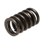 Manley Valve Spring 1.250 SINGLE