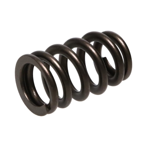 9A5313F9-5B2D-11E5-4705-1569160C1AAD PAC Ford 4.6L 4V .500 lift Ovate Beehive Valve Spring - Image 1