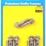 ARP Stud Kit of 10 M10x1.25 48.00mm