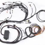 Haltech E2000/2500 RB Terminated Engine Harness Only