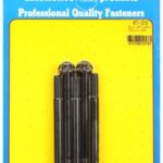 M8 x 1.25 x 100 12pt black oxide bolts (5pcs)