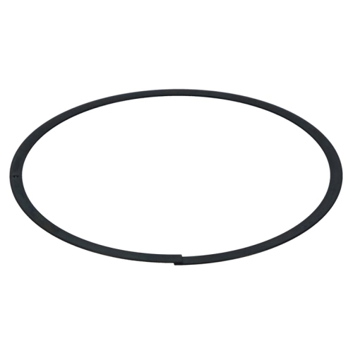 AA109D20-36FE-0A35-4018-4C4FCC5CC3AD JE-Pistons Oil rail support 2.999-3.039' .030' thick - Image 1