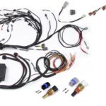 Haltech RB Twin CAM Main Harn, CAS Breakout, Early Ignition