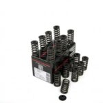 Piper Single Valve Spring Kit Inc Caps Opel B16LES/Z16LER