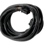 Haltech CAN Cable 8 pin Blk Tyco 8 pin Blk Tyco 150mm (6")