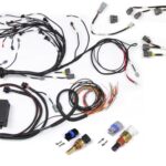 Haltech RB Twin CAM Main Harn, CAS Breakout, Late Ignition