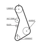 Gates RPM Timing Belt 25 x 1216mm 152t