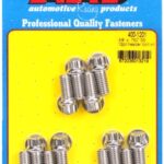 "3/8"" x .750 SS 12pt header bolt kit"