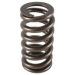 PAC Ford 4.6L 2V .600 lift Beehive Ovate Valve Spring