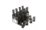 Piper Single Valve Springs Ford 1.6L Ecoboost