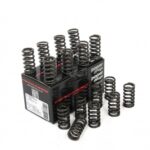 Piper Single Valve Springs Ford 1.6L Ecoboost