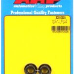 M10 x 1.50 12pt nut kit (2pcs)