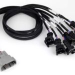 Haltech Nexus V8 Junior Timer (EV1) Injector Primary Breakou