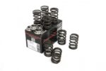 Piper Single Valve Spring Kit Opel 1.6/1.9/2.0L 8v CIH