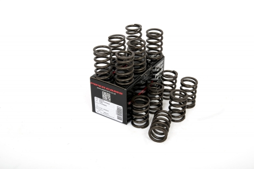 C2D70464-C1D3-D730-83A4-ED669C119481 Piper Single Valve Springs Ford 2.3/2.8 Carb/2.9L V6 Cologne - Image 1