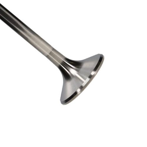 C7A1EB43-C941-D9F9-46FC-C87C161DAD2E Manley Titanium Series BBC Exhaust Valve Kit - Image 1