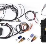 Haltech RB Twin CAM Elite 2500 ECU, Main Harn, CAS Breakout,