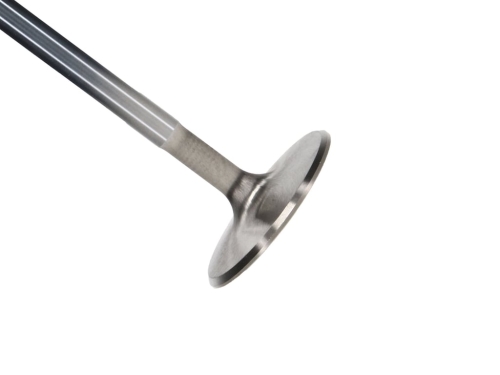 D49F3F62-2B69-6675-952A-13CFC7AED663 Manley Chrysler 361 Exhaust Valve 1.810 x 4908 x .3720 - Image 1