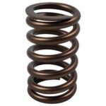 PAC Single 602 Crate Motor Cheater Single Spring