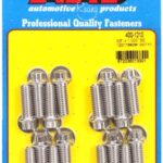 "3/8"" x 1.000 SS 12pt header bolt kit"