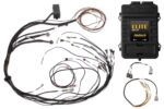 Haltech Elite 1500 Maz 13B S6-8 Term Harn Kit Fly lead ign h