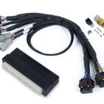 Haltech Nexus S2/S3 Plug 'n' Play Adapter Harness Honda DC5