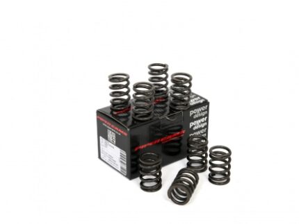 Piper Single Valve Springs Ford 1.6L/2.0L Pinto