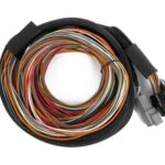 Haltech Nexus IO16 Universal Wire in Harness 2.6m (8.5')