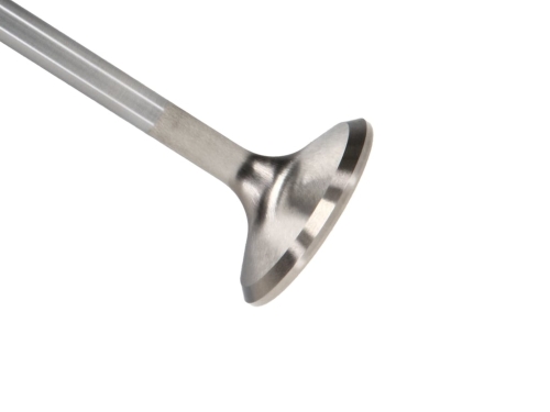 E3C9D29B-1A7A-E167-C6AF-31EC72671CD9 Manley SBC Exhaust Valve Kit 1.600 x 4951 x .3415 - Image 1
