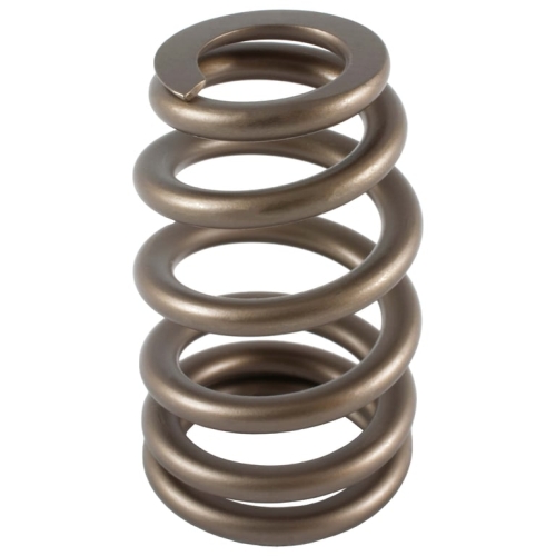 E742D310-640A-C5D2-D494-8EEDECC0D62A PAC Beehive Ovate Valve Spring 0.750 Lift - Image 1