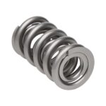 PAC RPM Series Dual Valve Spring RACE ONLY Spring