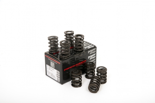 E99386D5-594B-B67F-1DF0-3D0AFAEDF5BE Piper Double Valve Springs Fiat 1.6/1.8/2.0L Twin Cam - Image 1