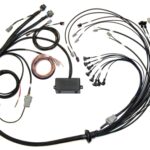 Haltech Elite 2500/2500 T V8 GM, Ford & Chrysler Term Harn O