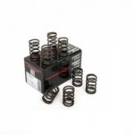 Piper Single Valve Springs Renault 1.4L 8v 840 730