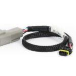 Haltech CAN Adaptor Loom DTM-4 to Molex Mizu-P25 - Suits Hol