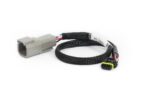 Haltech CAN Adaptor Loom DTM-4 to Molex Mizu-P25 - Suits Hol