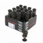Piper Double Valve Springs Inc Caps Ren 1.8L 16v F7P