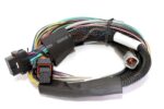 Haltech Elite 2500 + Basic Uni Wire-in Harness Kit 2.5m (8') - Image 3