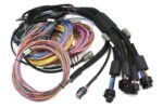 Haltech Nexus R5 + Universal Wire-in Harness Kit - 2.5M (8') - Image 2