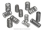 Supertech Valve Spring Set BMW S85 - Image 2