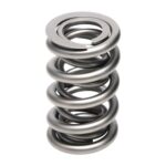 PAC RPM Series LS Round Wire Dual Valve Spring - Image 3