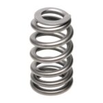 PAC RPM Series LS1 HP Ovate Beehive Valve Spring - Image 3