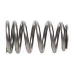 PAC RPM Series LS1 HP Ovate Beehive Valve Spring - Image 4