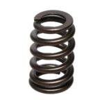 PAC Ford 4.6L 4V .500 lift Ovate Beehive Valve Spring - Image 3