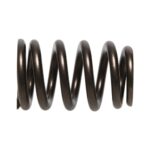 PAC Ford 4.6L 4V .500 lift Ovate Beehive Valve Spring - Image 4