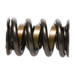 PAC Drag Race 1200 Series Valve Spring 1.550 Dual dampered - Image 4