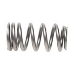 PAC Beehive RPM Series Valve Spring Ford Coyote 5.0 Drop in - Image 4