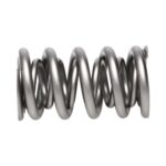 PAC RPM Series Dual Valve Spring RACE ONLY Spring - Image 4